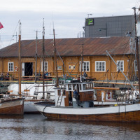 Wooden Ships in the Harbour